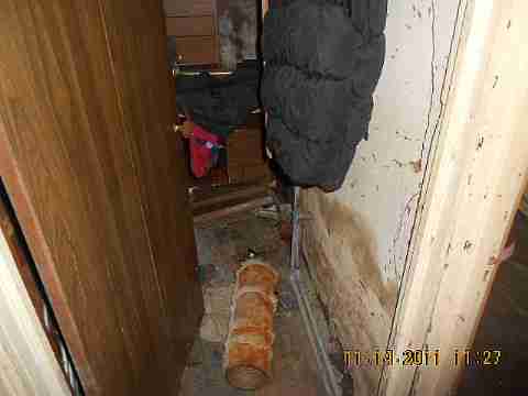 7485 American (18)_m.jpg